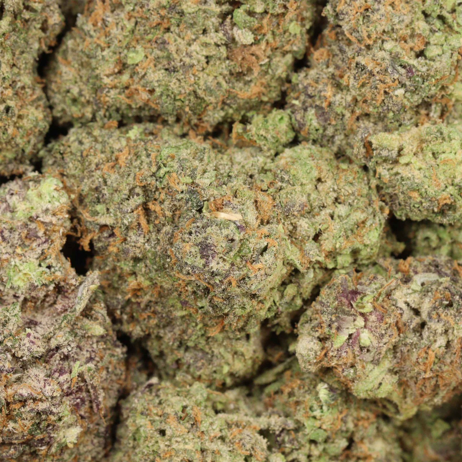 Four Star General Strain - Image 3