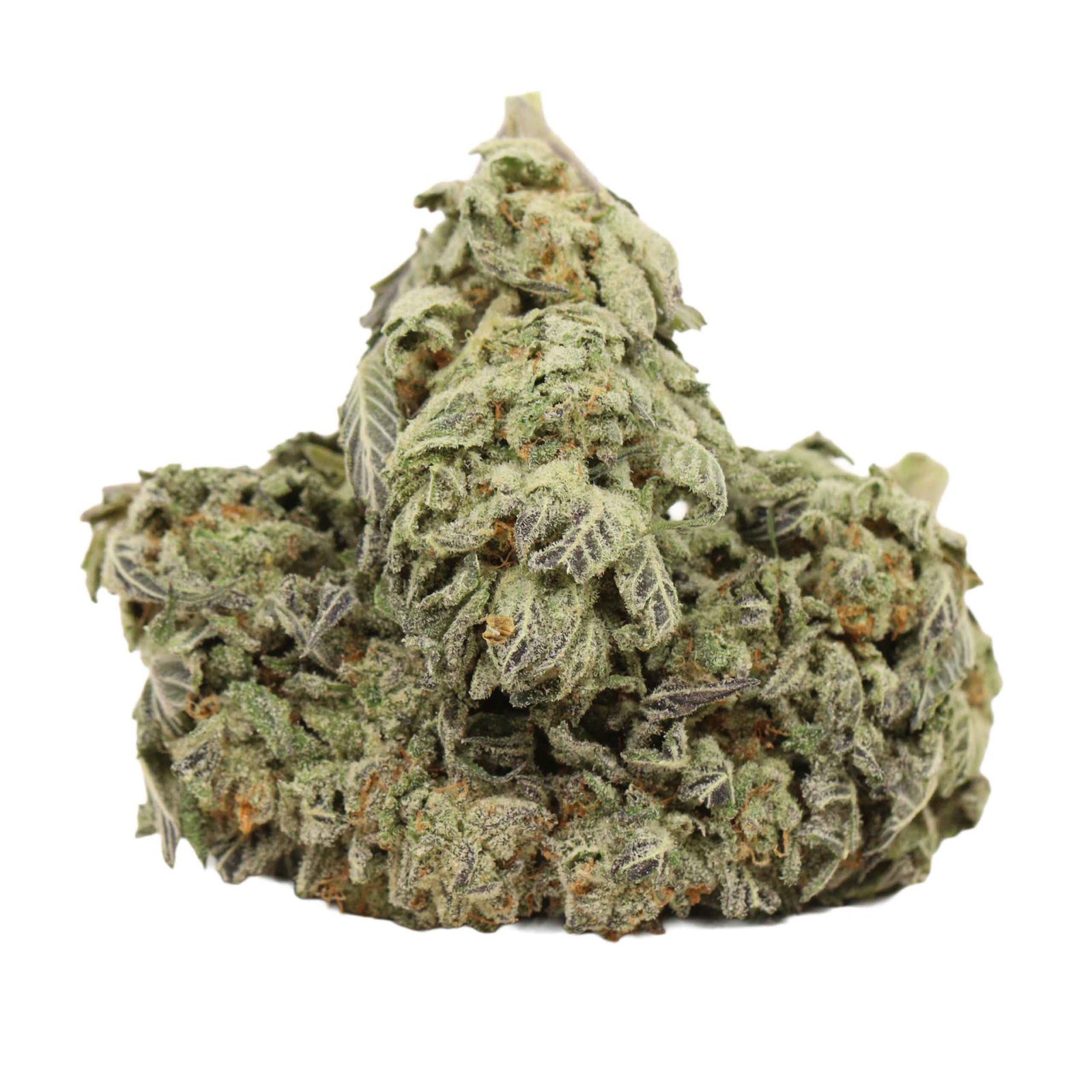 Kaufe 9 Pound Hammer Strain