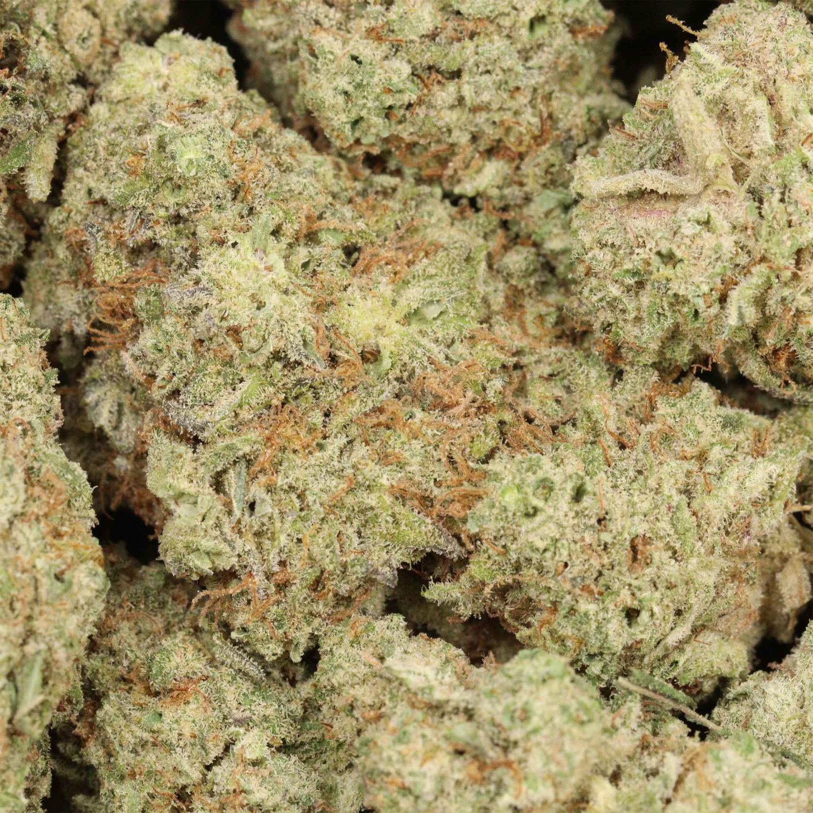 Kaufe 94 Monkey Strain - Image 3