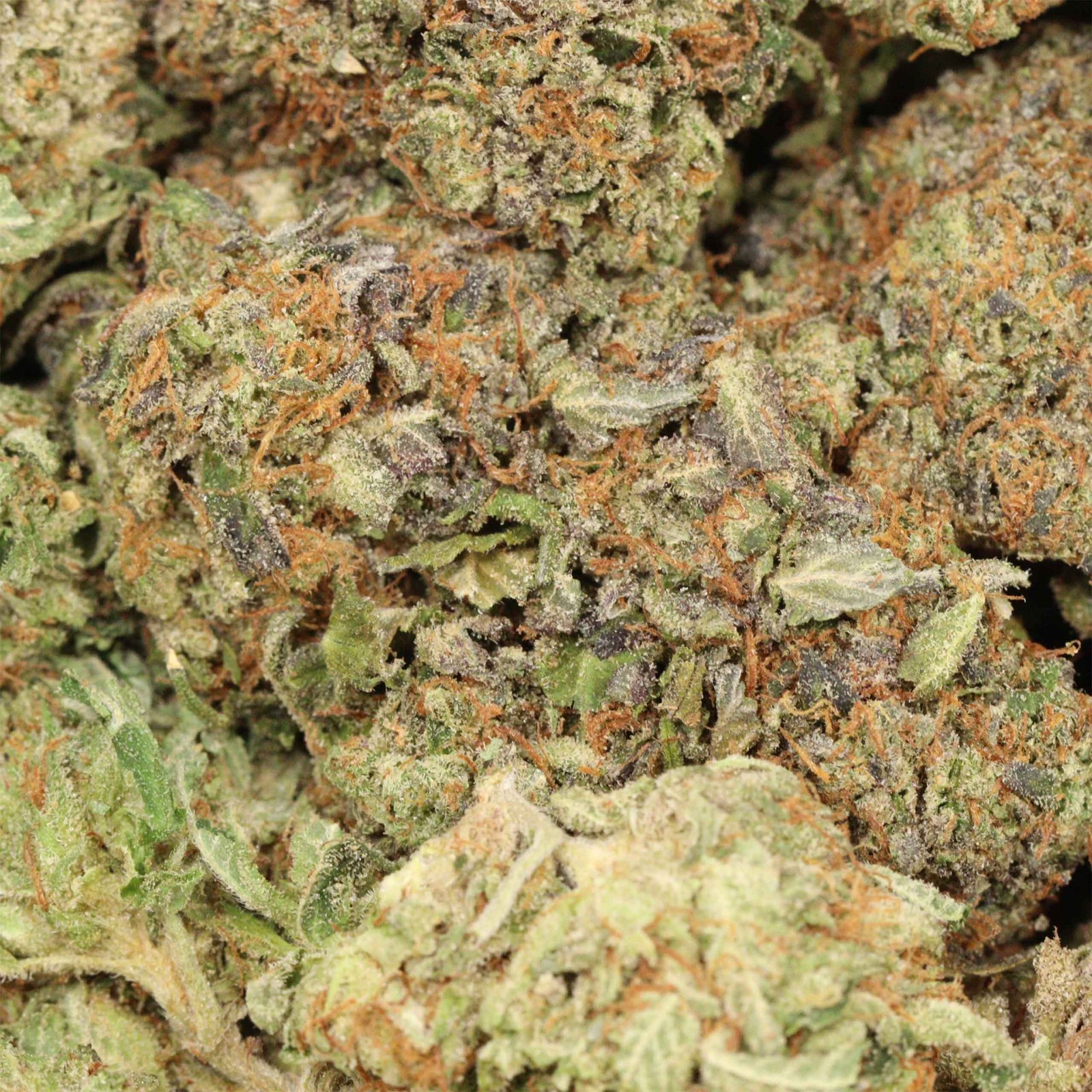 94 octane strain - Image 3