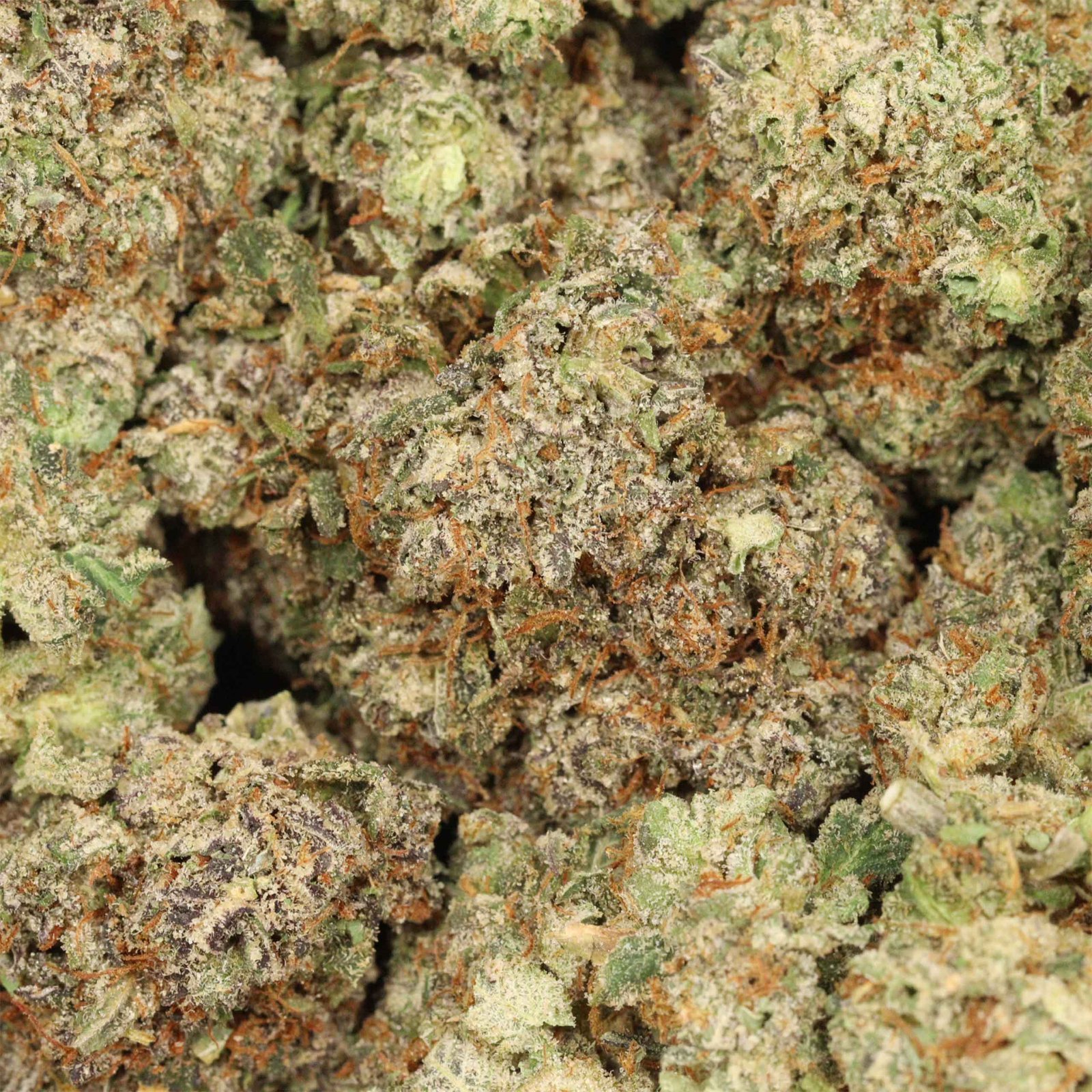 Atomic blueberry strain - Image 3