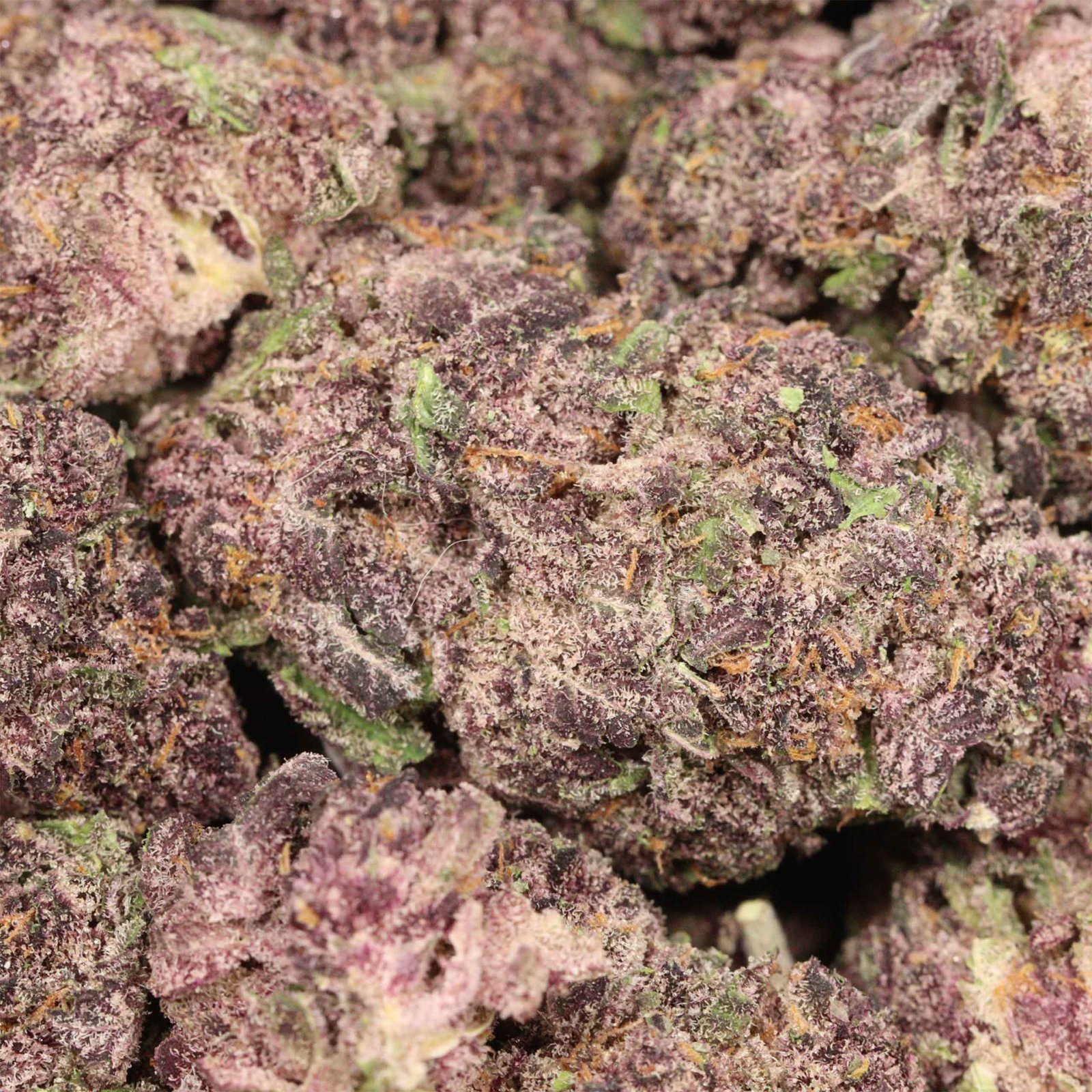 Black Cherry Soda Strain - Image 3