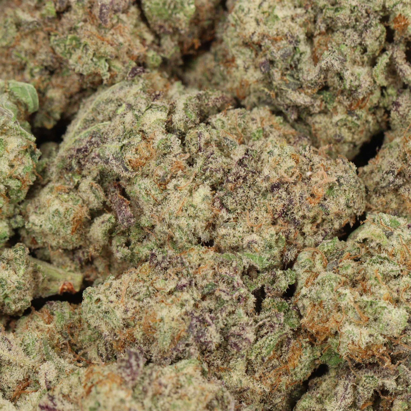 Blue Dream Strain - Image 4