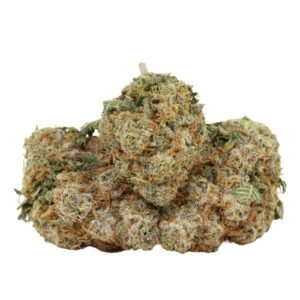 Blueberry AK Hybrid Strain