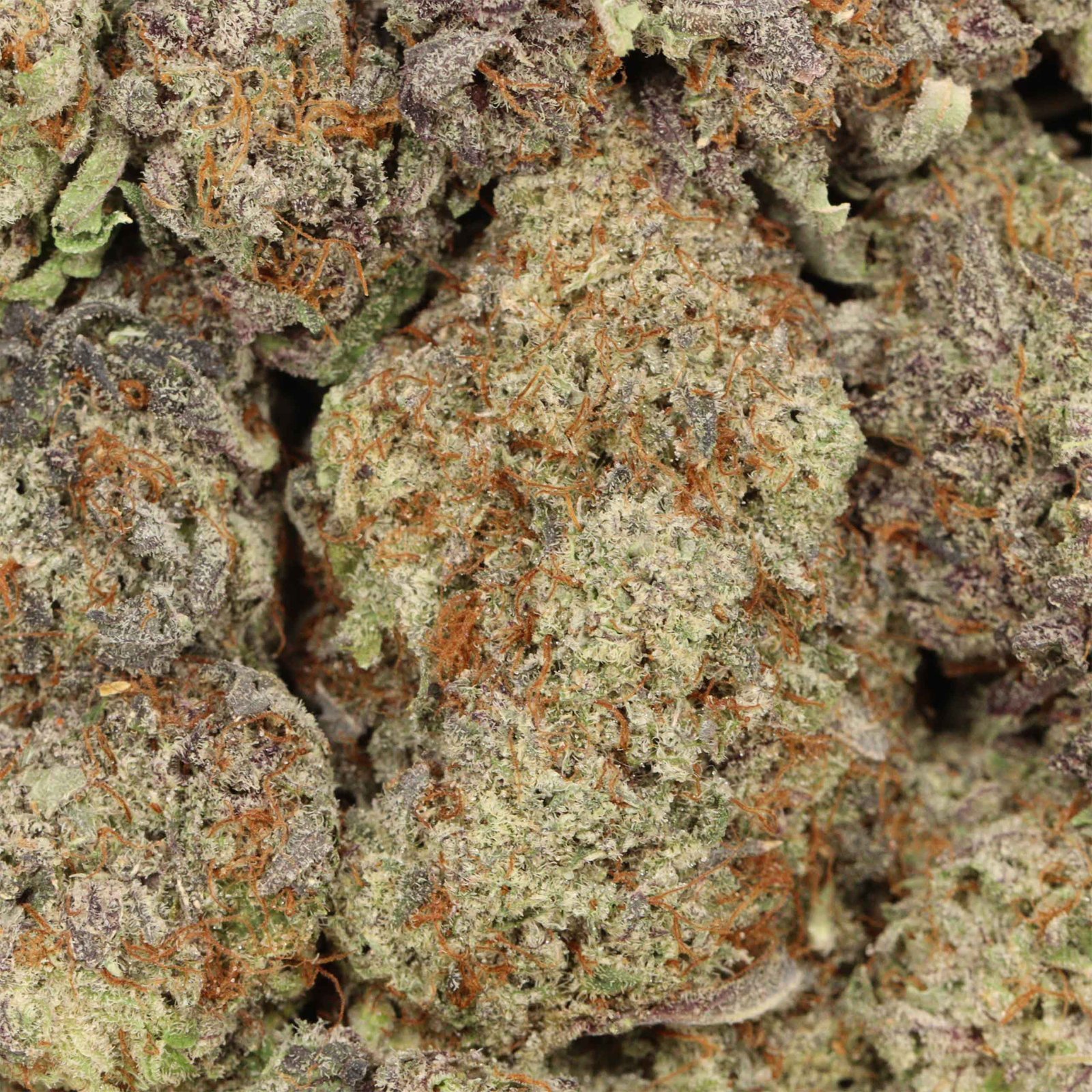 Bruce Banner Strain - Image 3