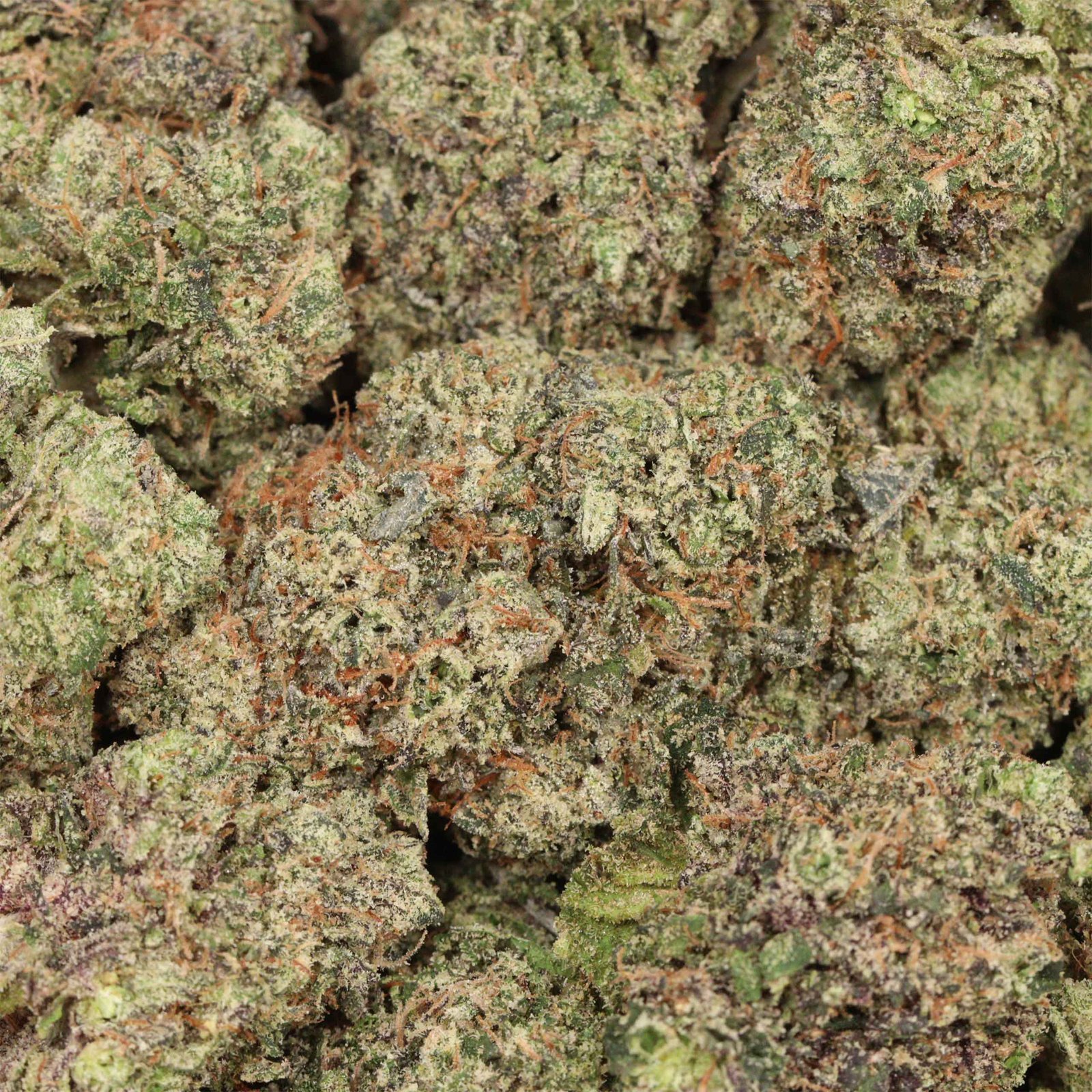 Butterscotch Strain - Image 3