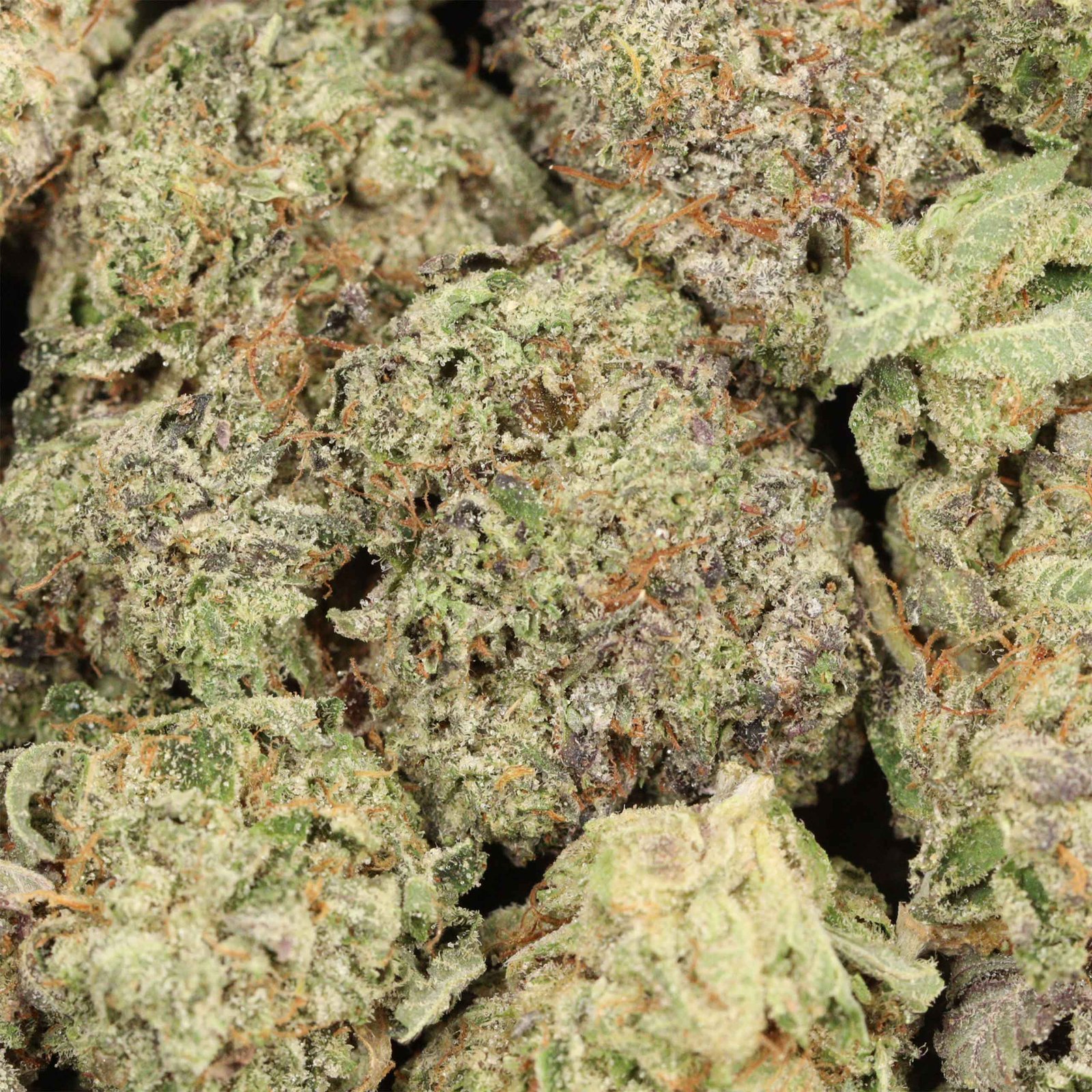 Kaufe Caviar Pink Kush - Image 3