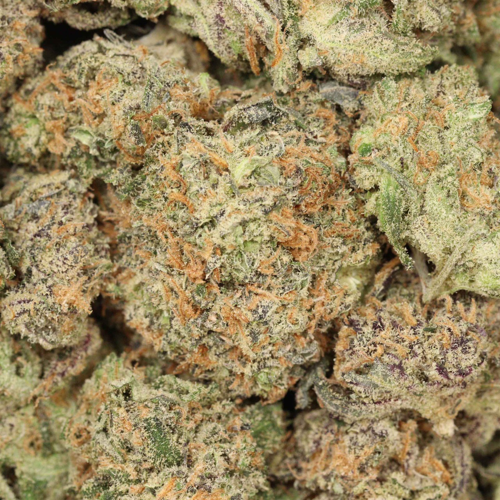 Coma Kush - Image 3