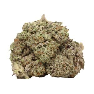 Dairy Queen Strain