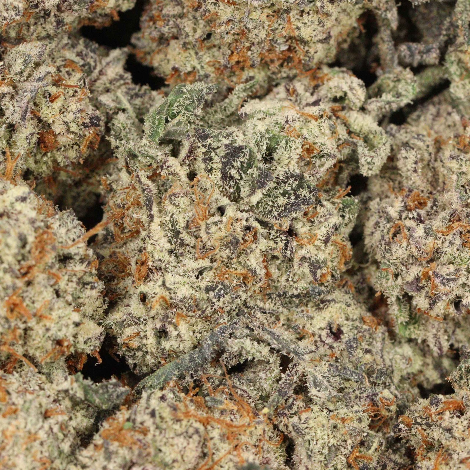 Dairy Queen Strain - Image 3