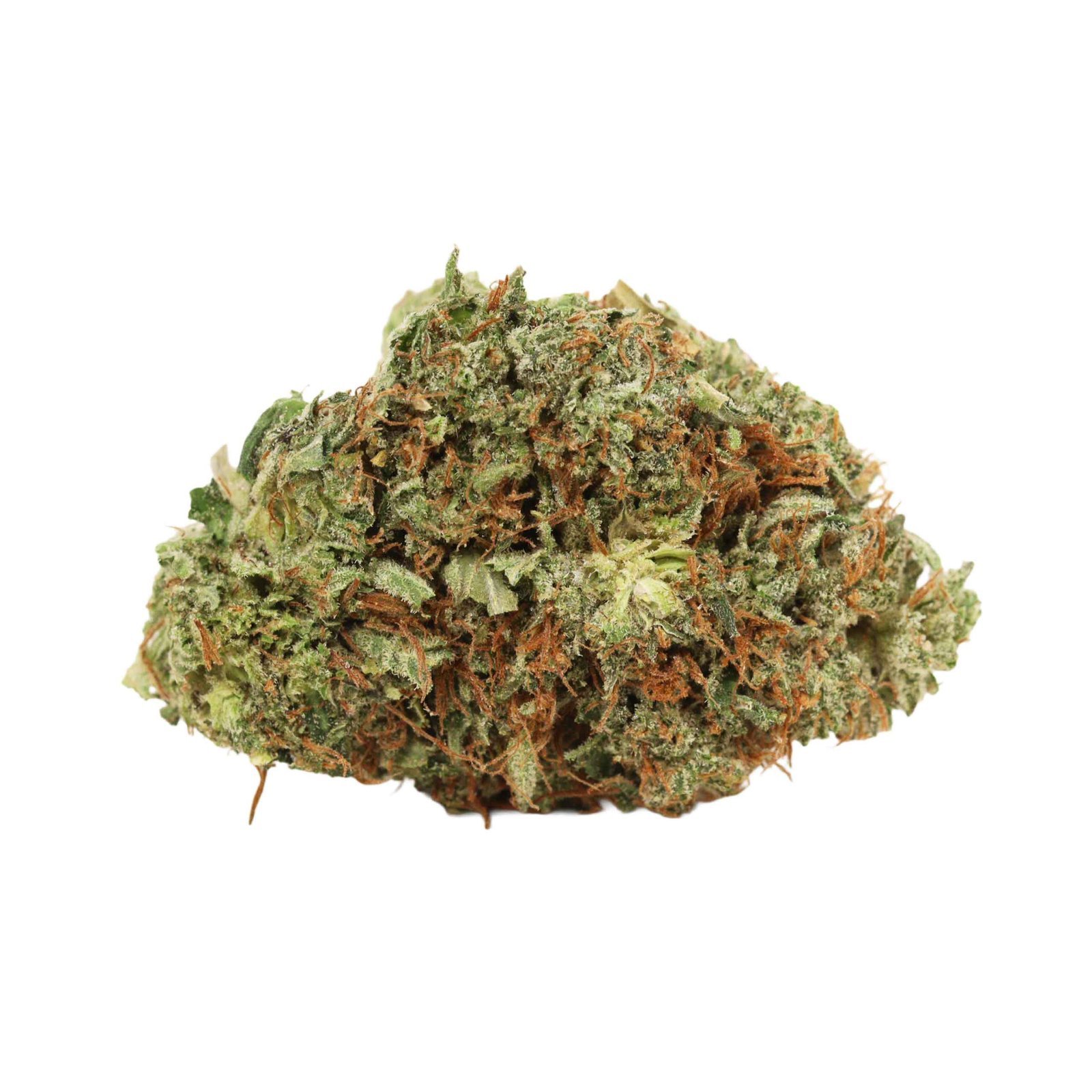 Dior Death Bubba - Image 4