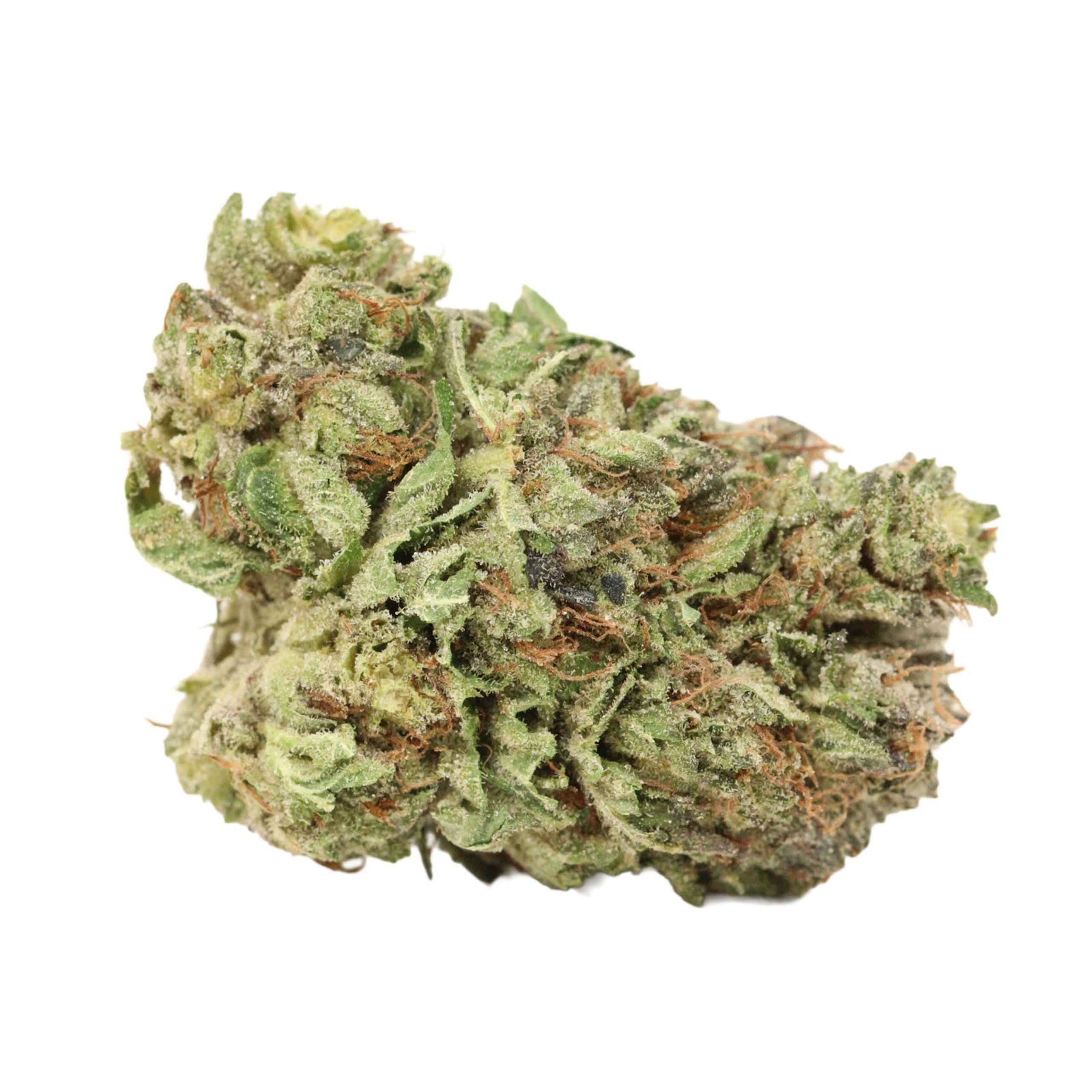 Gas Monkey Strain - Image 4