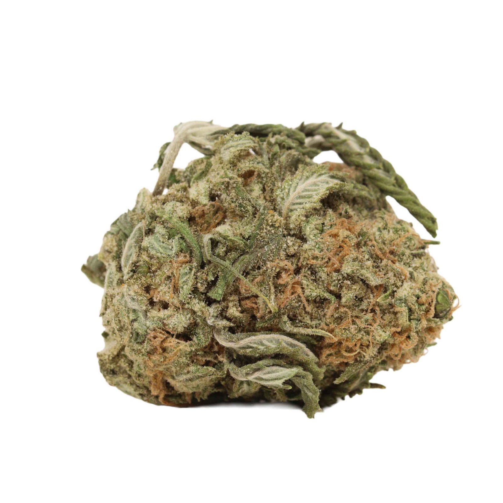 Gelato Strain - Image 4
