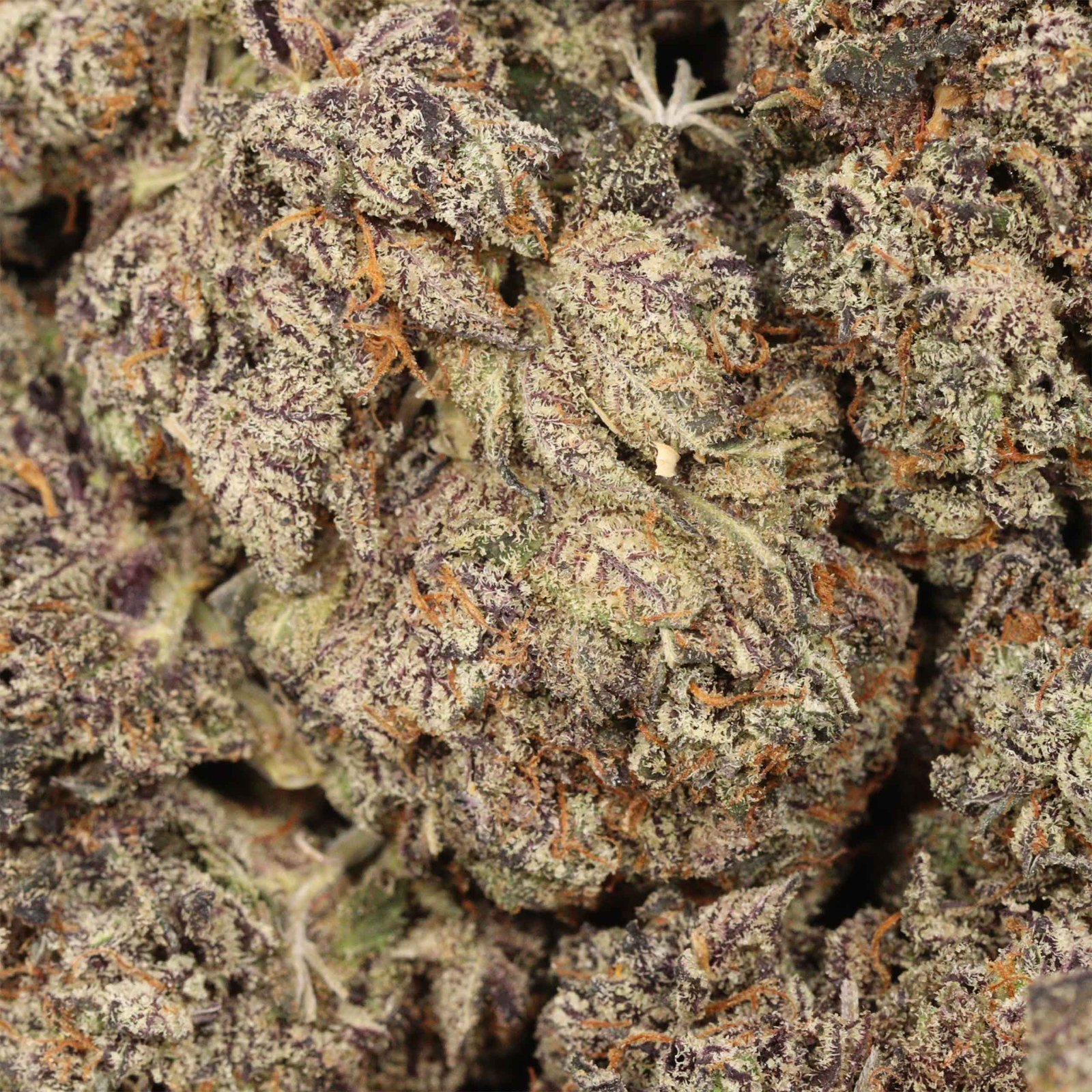 GrandDaddy Death Strain - Image 3