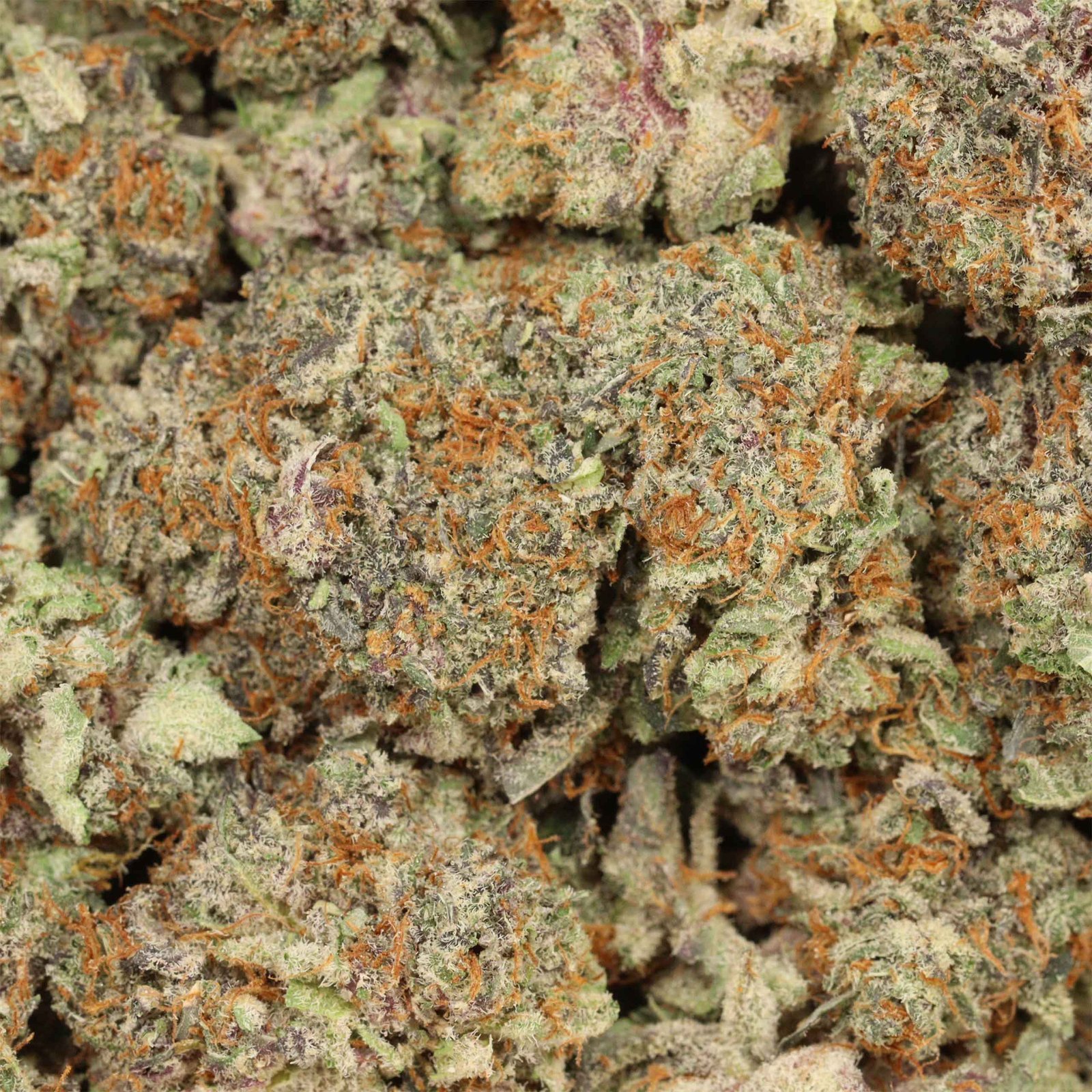 Happy Hour Strain - Image 3