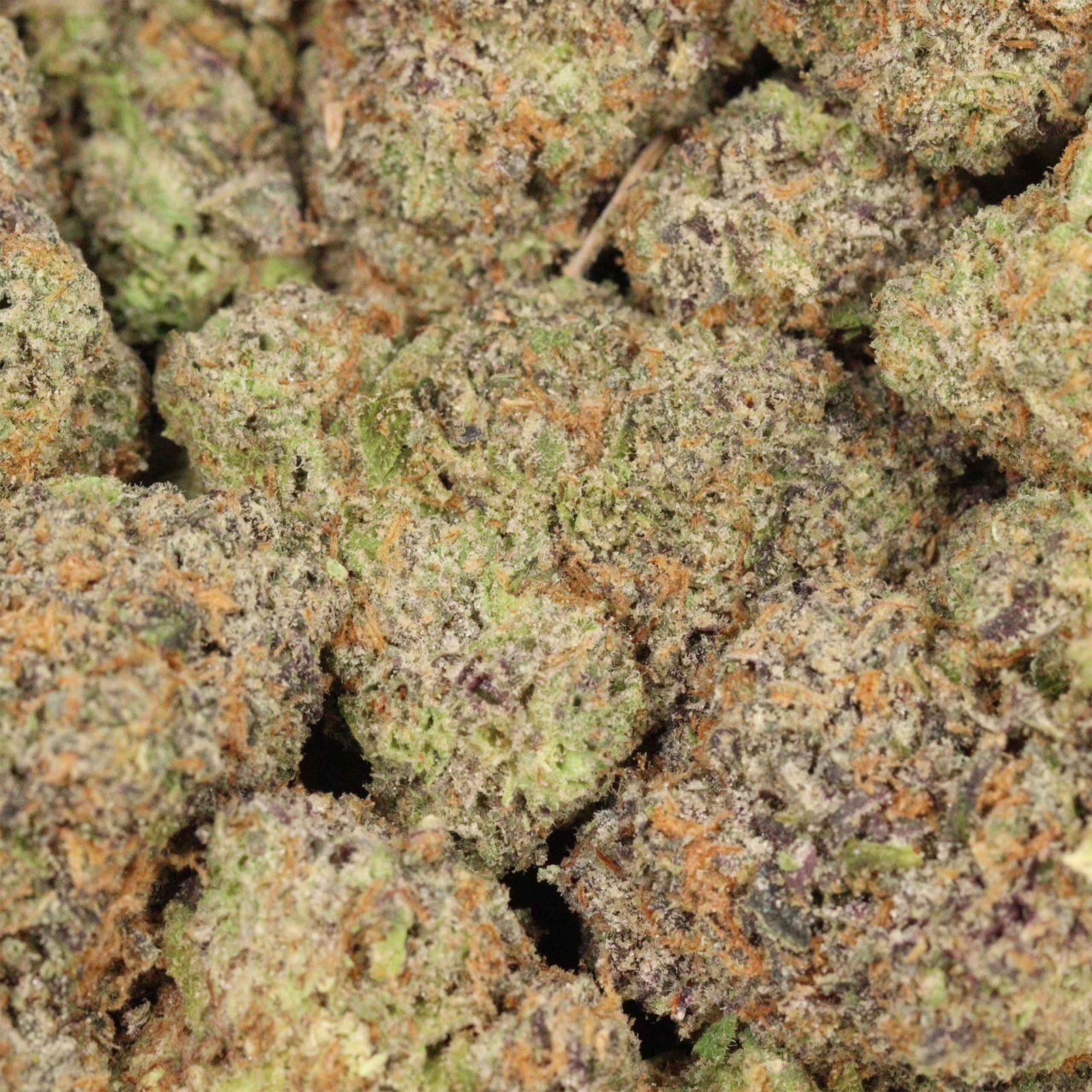 Hawaiian Runtz Strain - Image 3