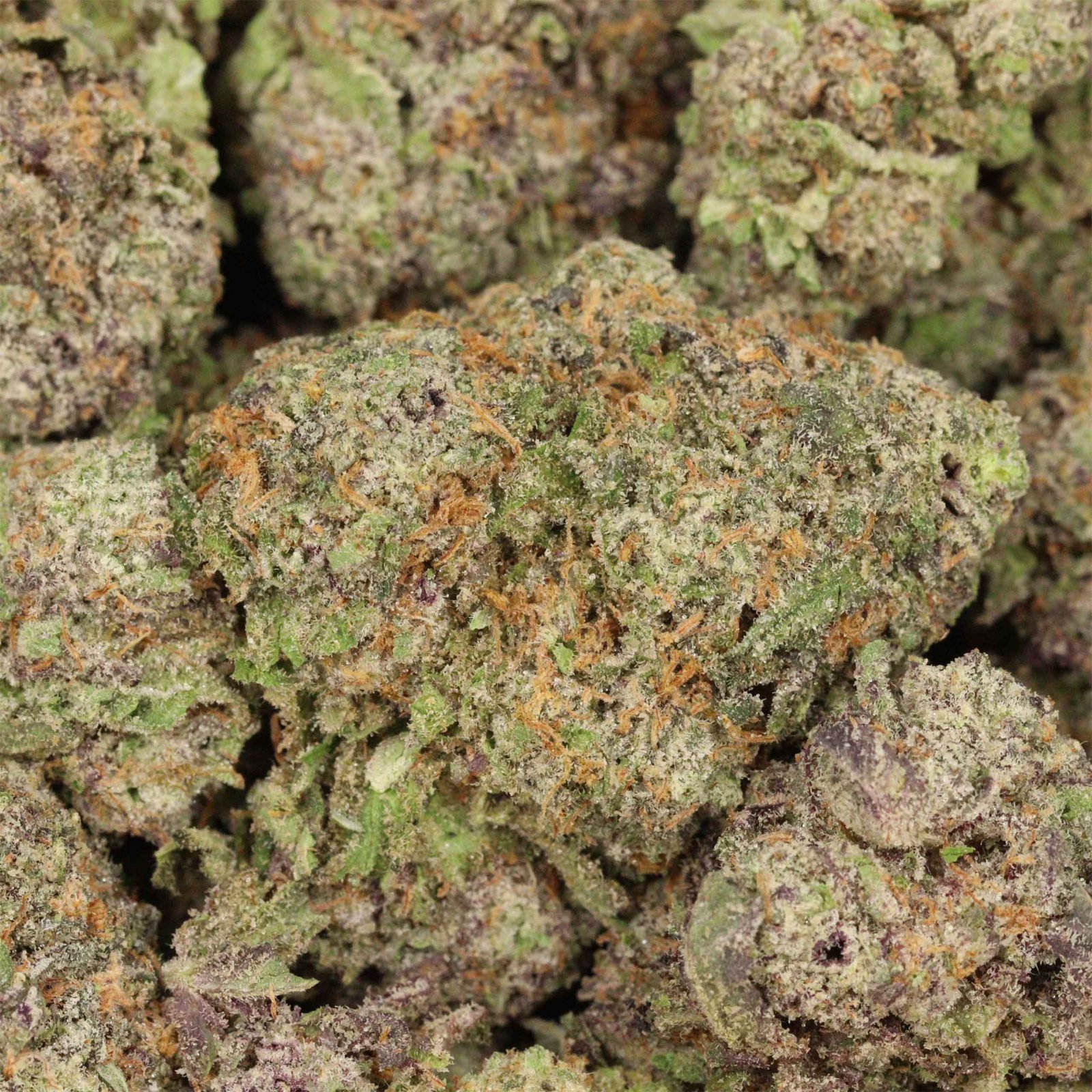 Kaufe High Society AAAA+ Indica Craft - Image 3