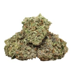 Kaufe Hydro Pink Kush