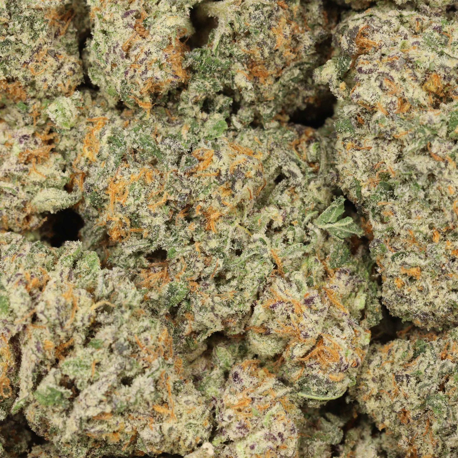 Ice Wine Strain - Image 3