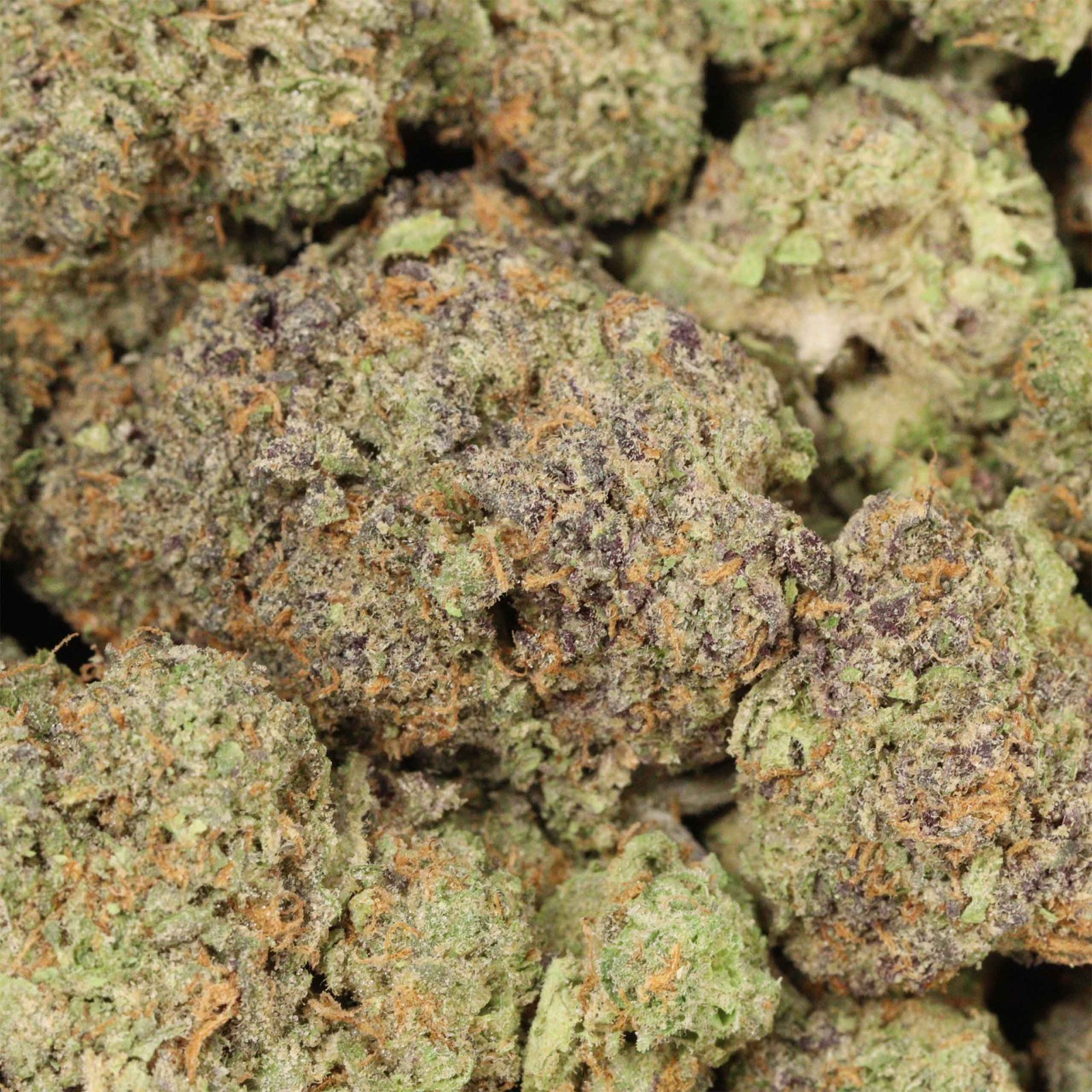 Jungle Mints Strain - Image 3