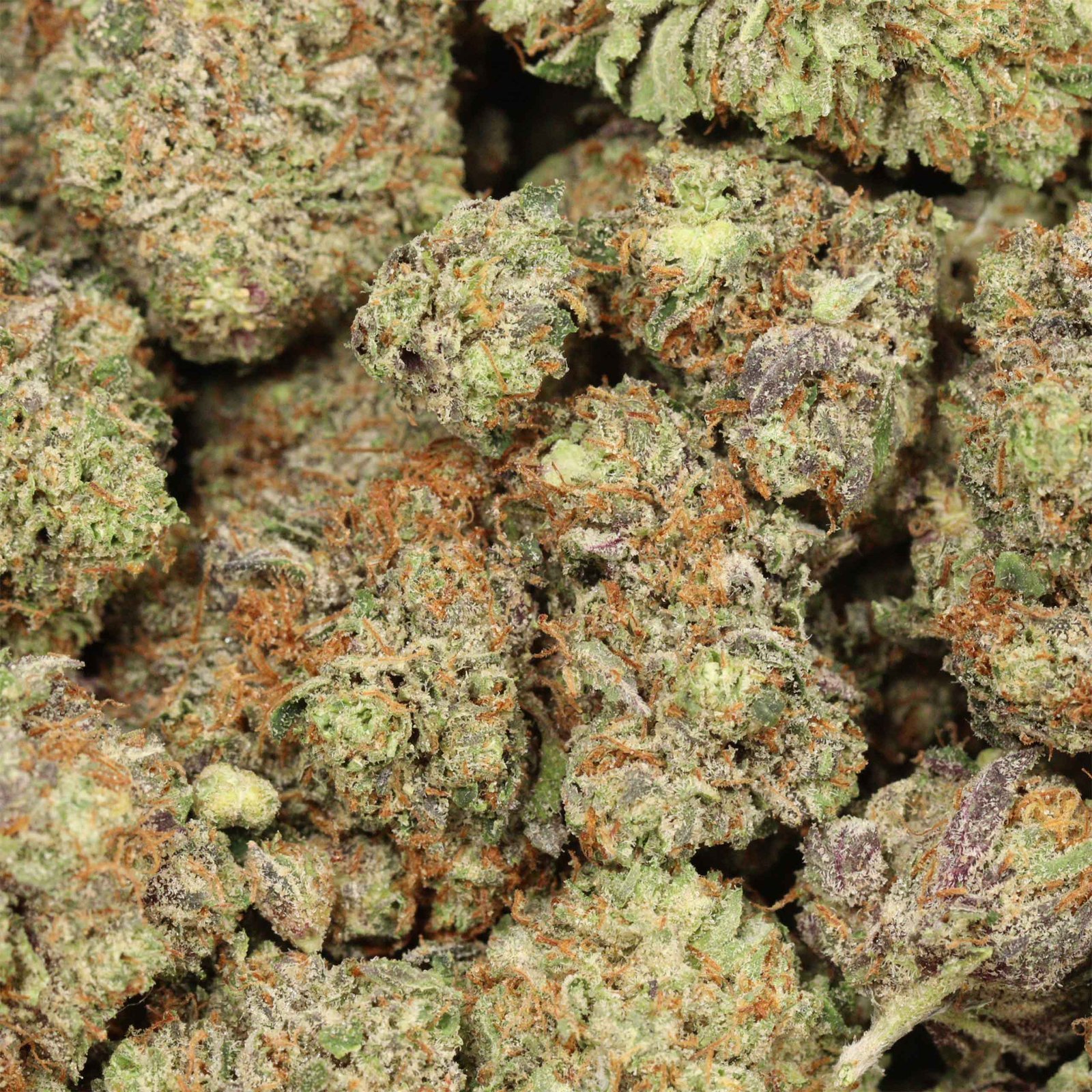 Larry Rockstar Strain - Image 3