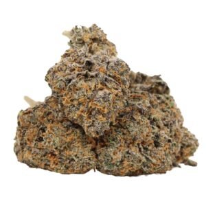 Kaufe Northern Lights Strain