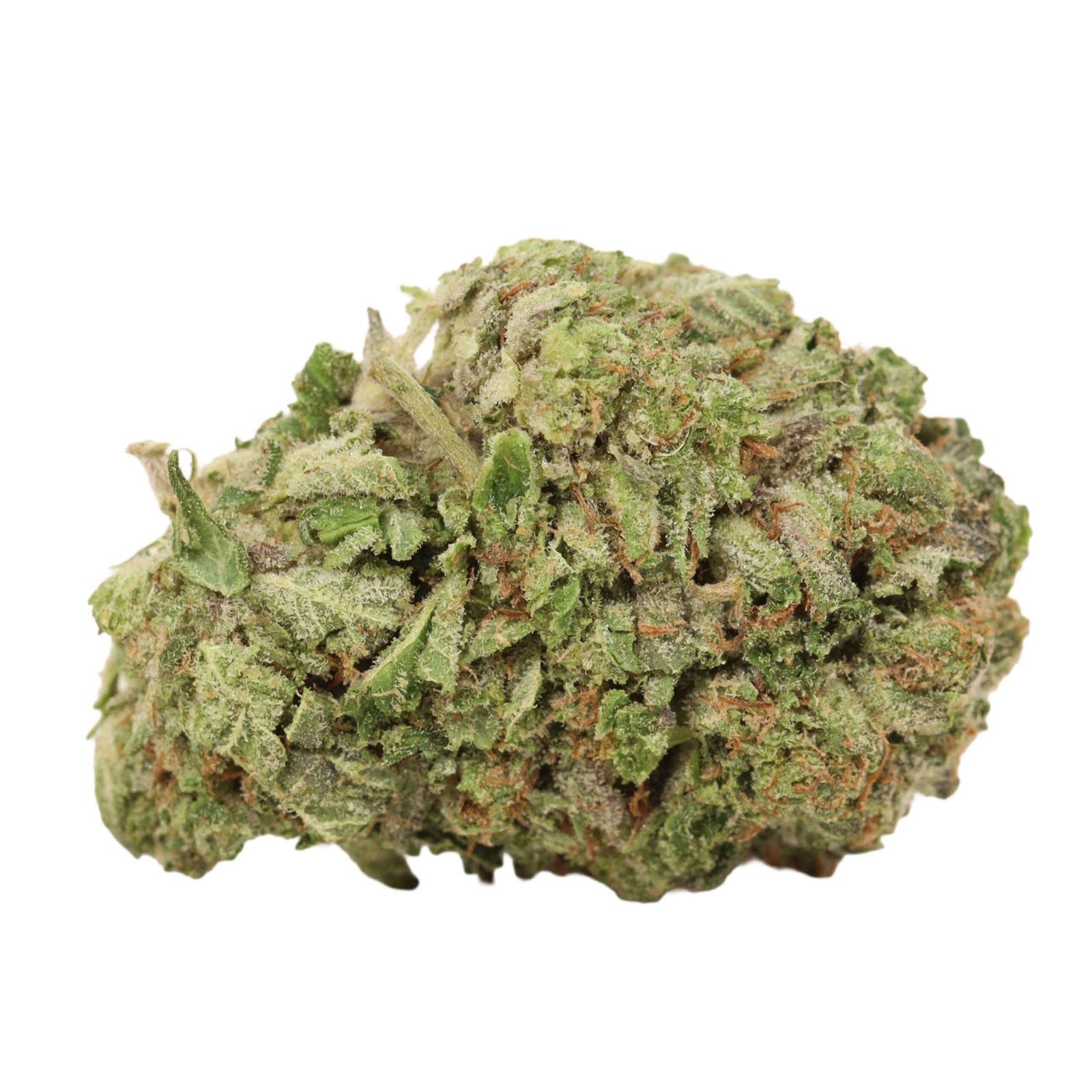 Pink Muerte Strain - Image 4