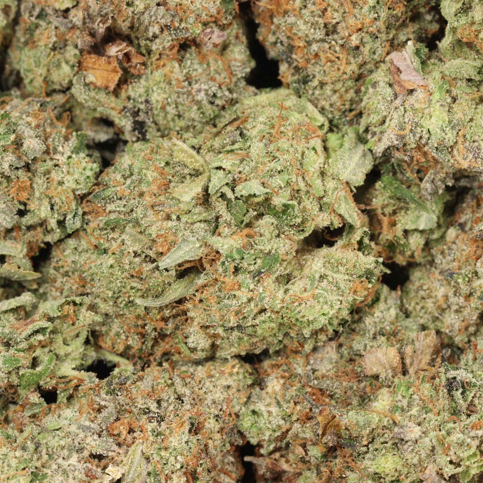 Pink Pussy Strain AAAA+ Indica Craft - Image 3