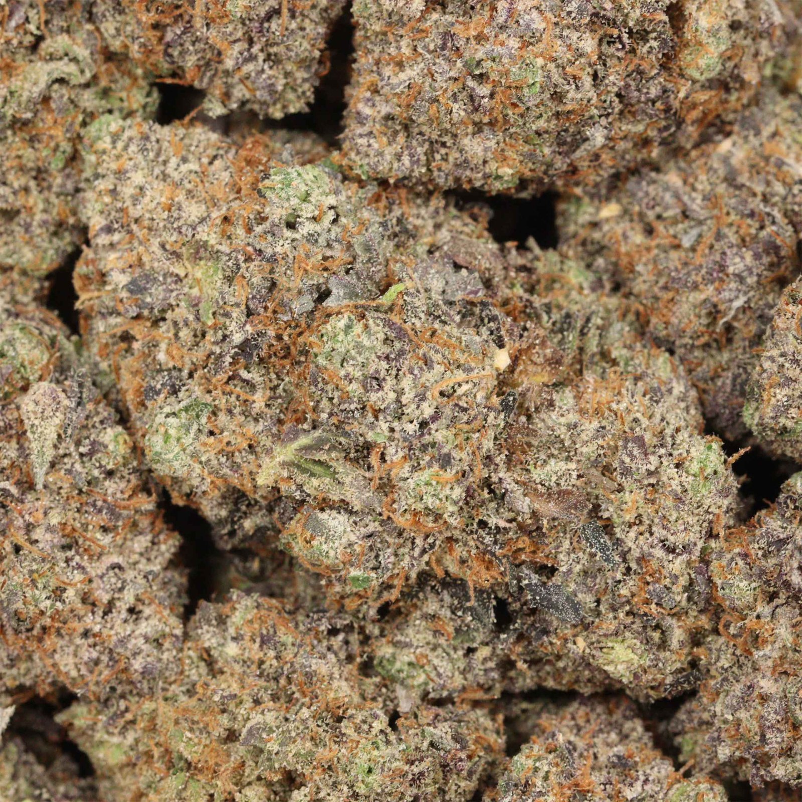 Pink Wagyu Strain AAAA+ Indica Craft - Image 3