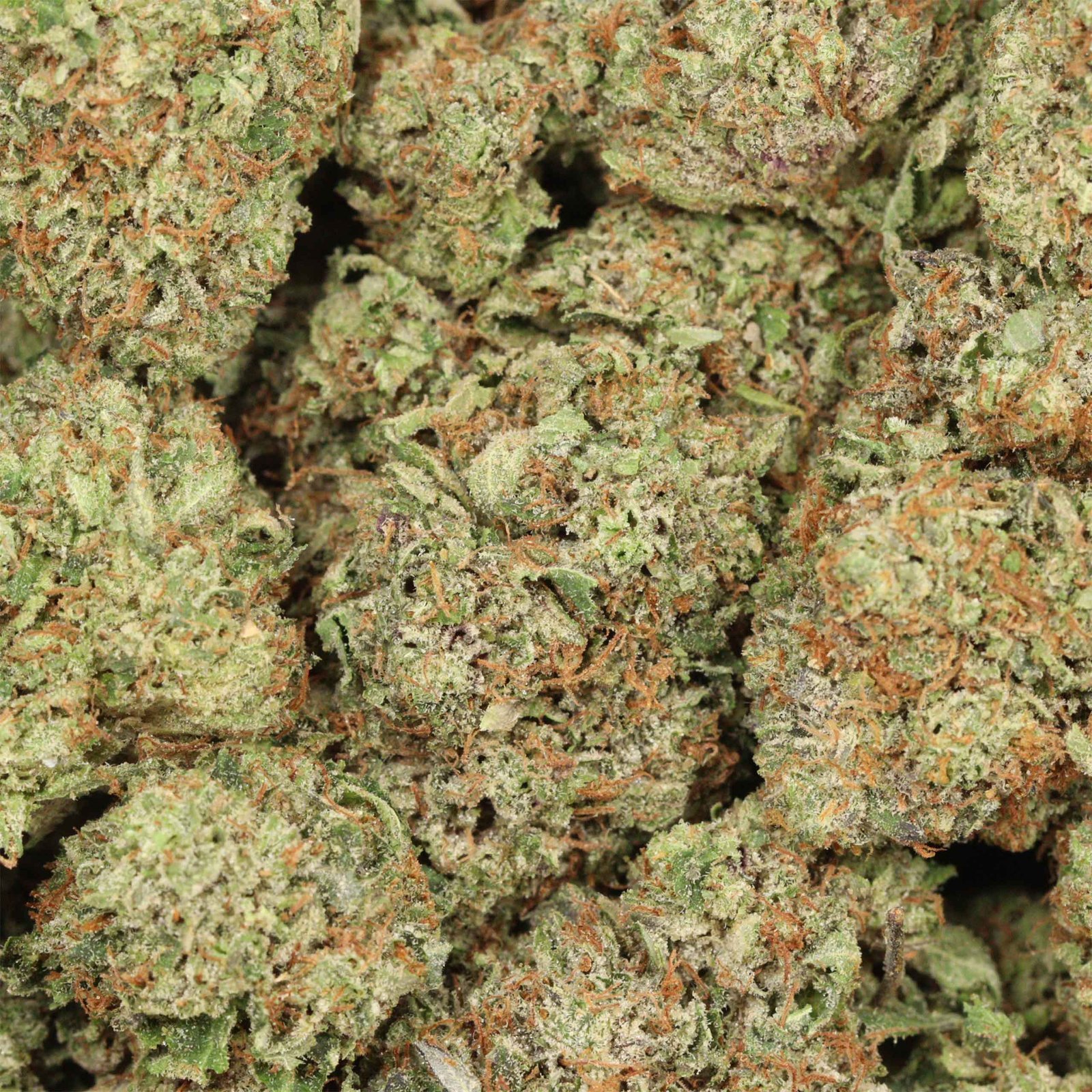 Stinky Pinky Strain - Image 3