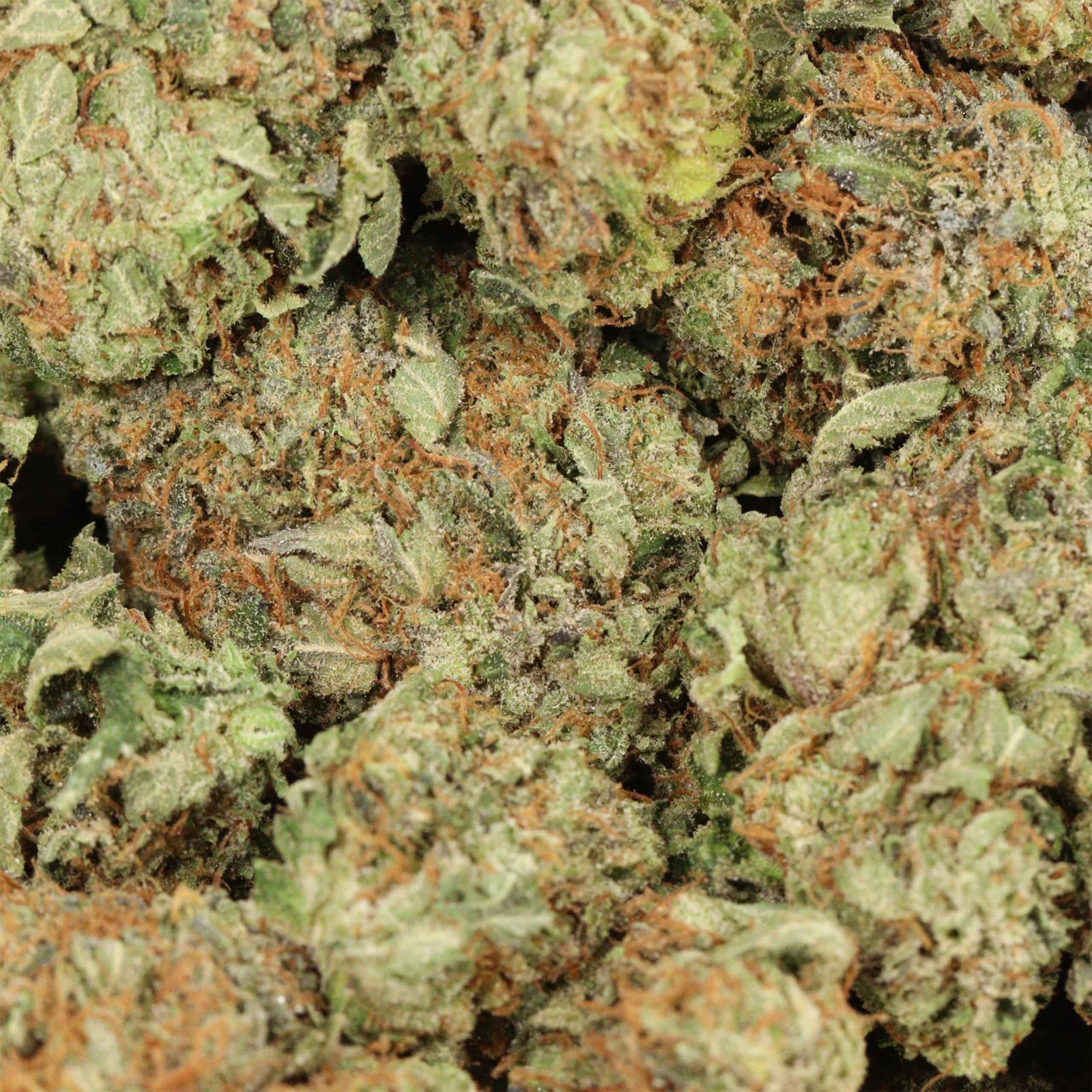 Tom Ford Death Bubba Strain - Image 3