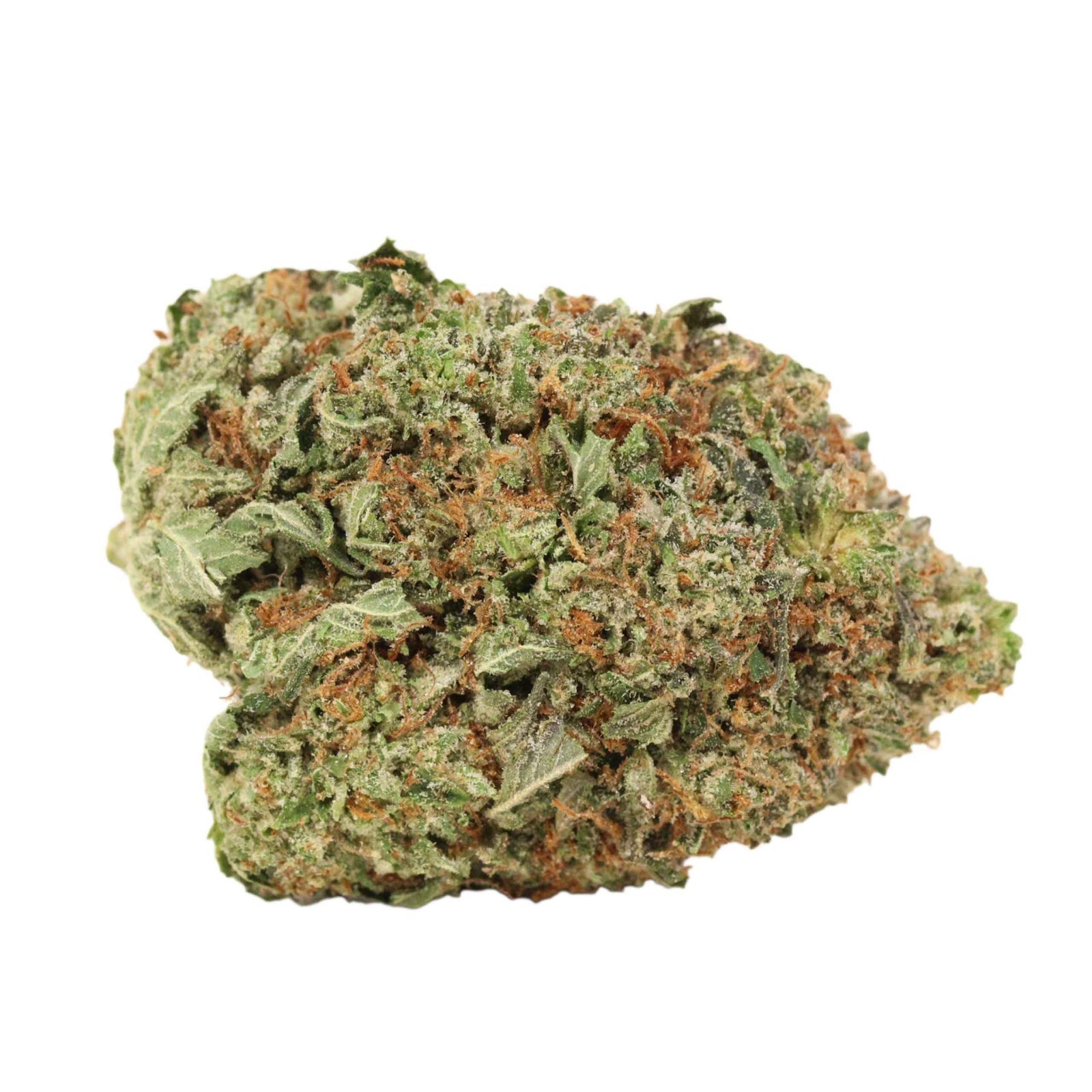 Tuna OG Strain - Image 4