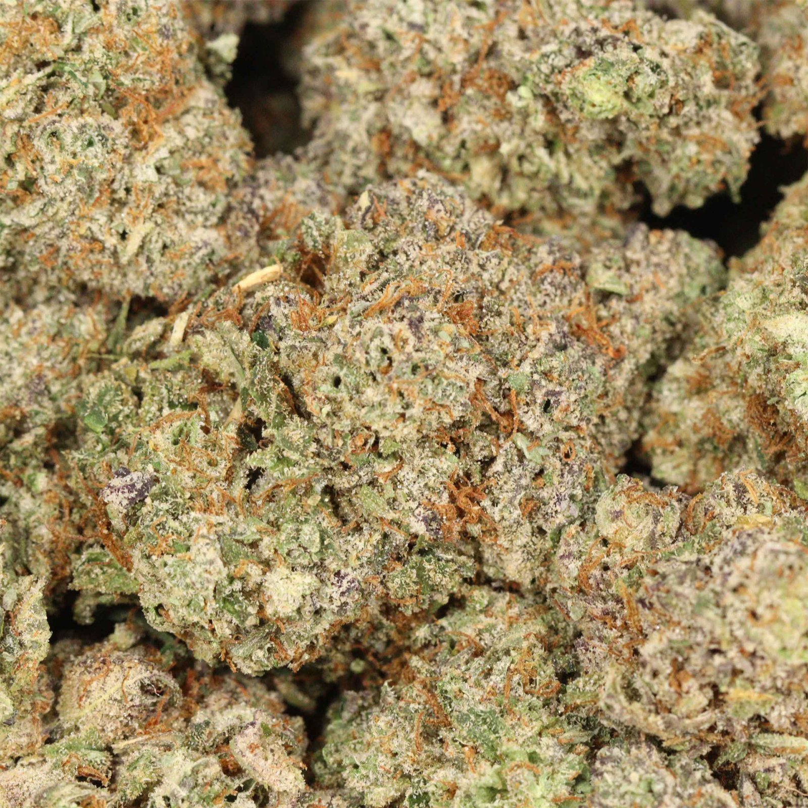 White Fire OG Strain - Image 3