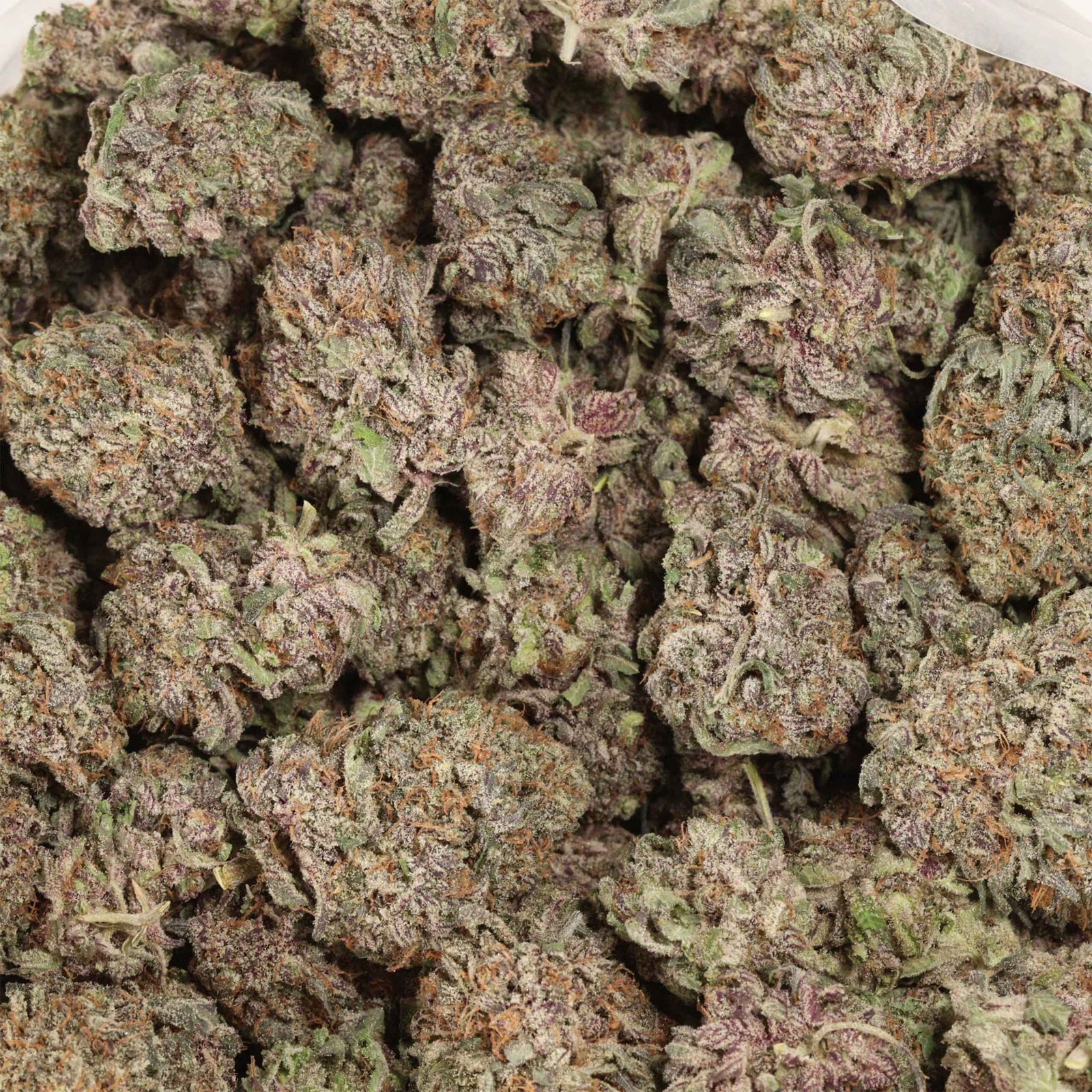 Kaufe Black Cherry OG - Image 3