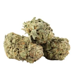 Blue King Strain