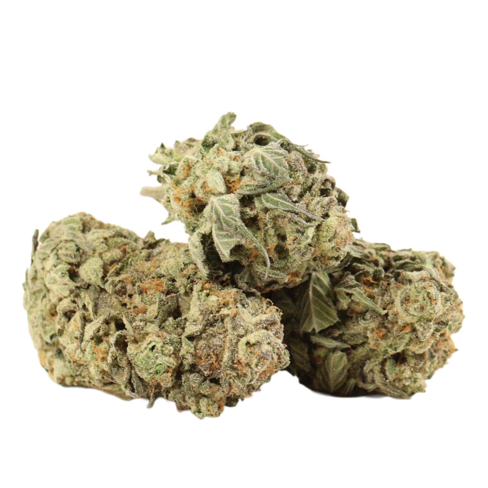 Blue King Strain