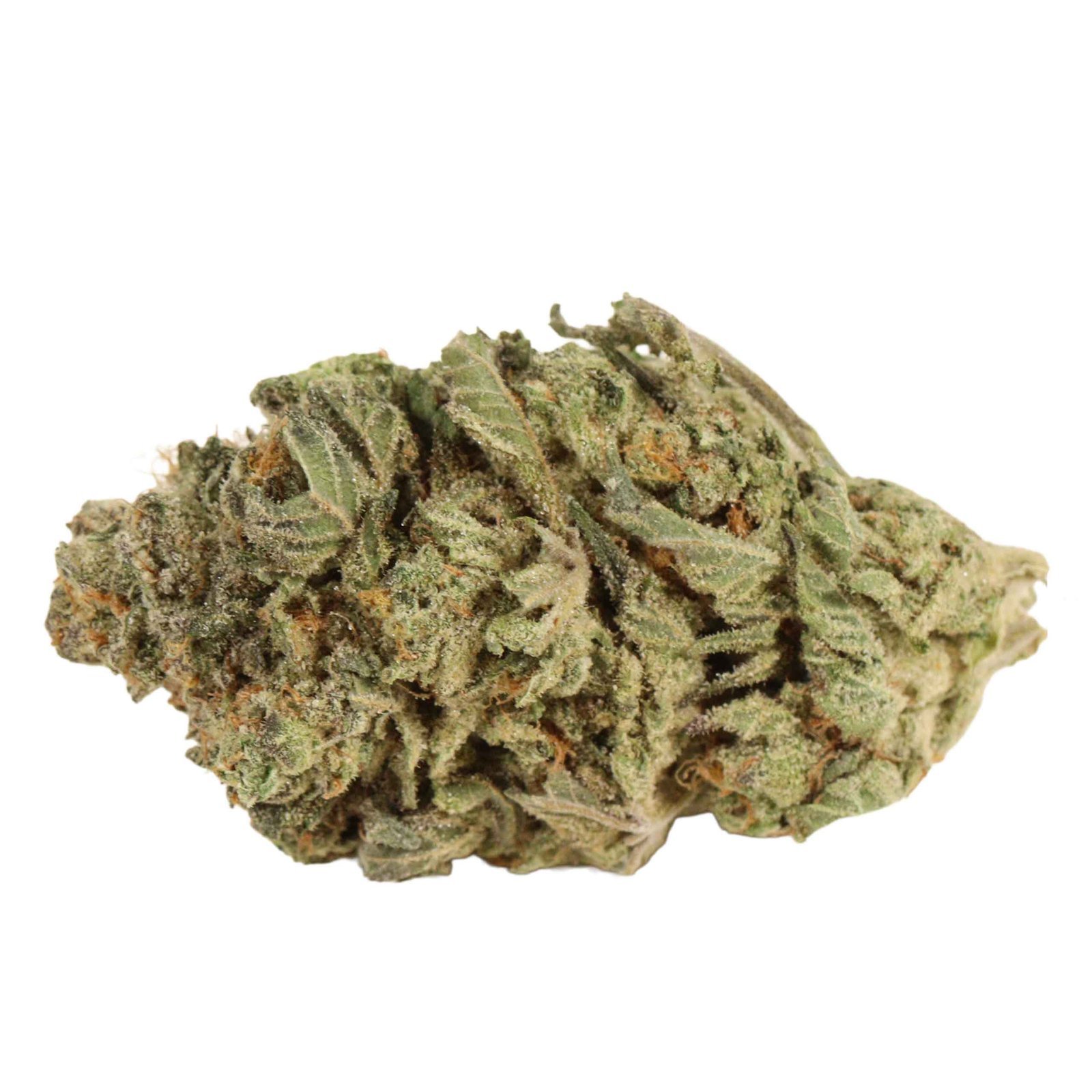 Blue King Strain - Image 4