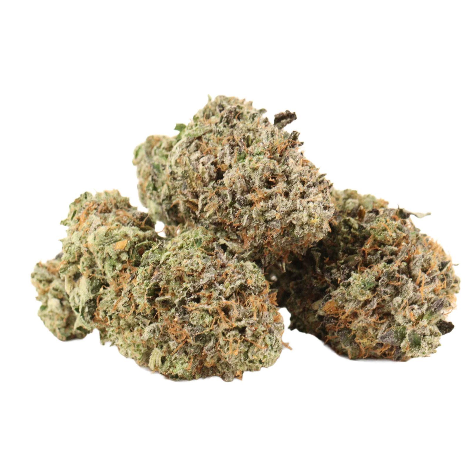 Comatose OG Strain