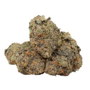 Dank Sinatra Strain