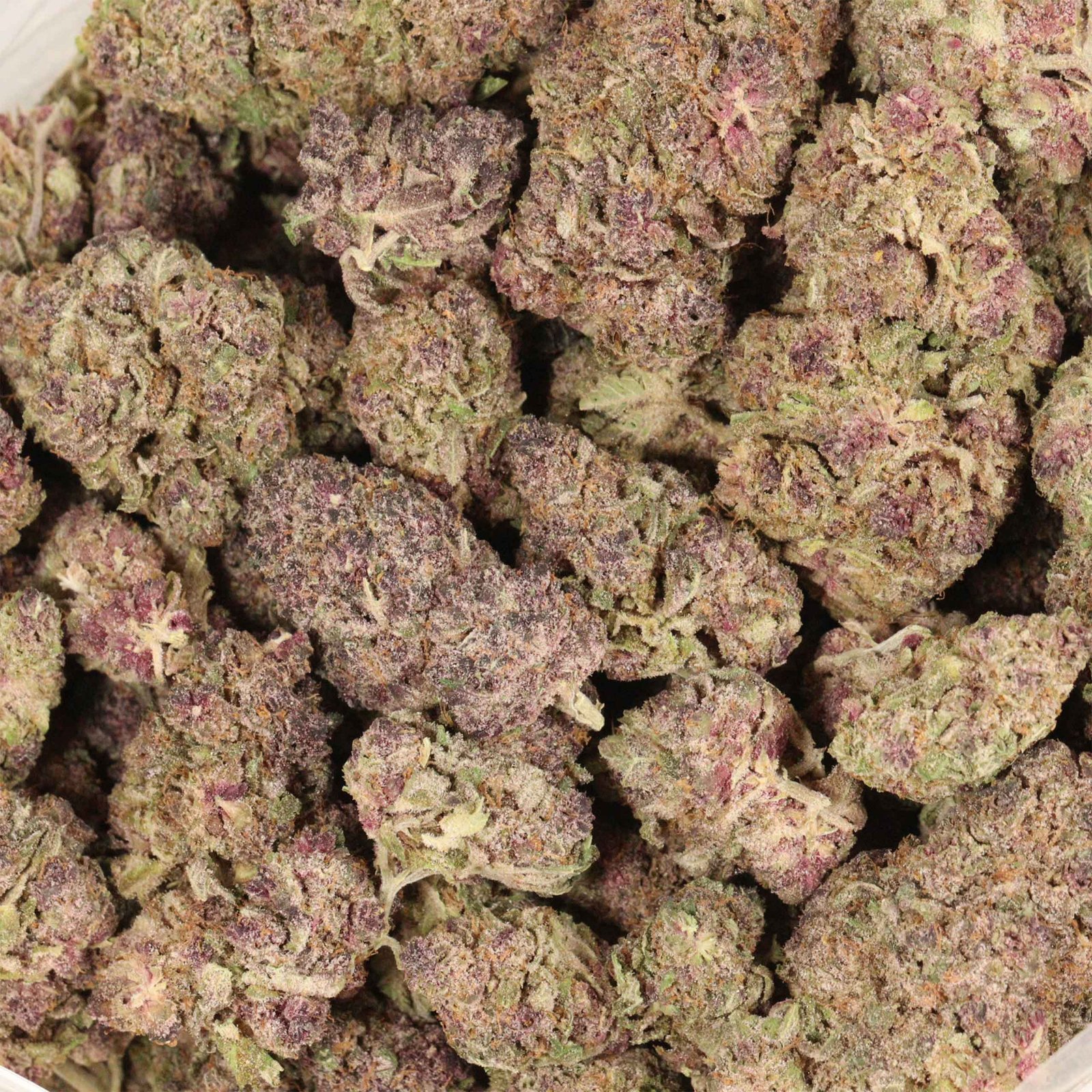 Grape Gasoline Strain - Image 3