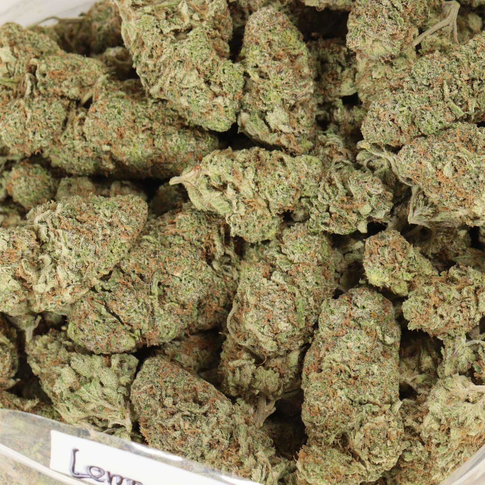 Lemon Kush - Image 3