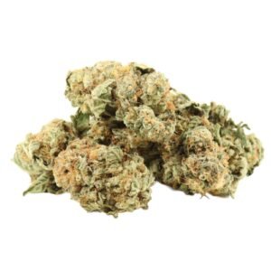 Master Kush Strain