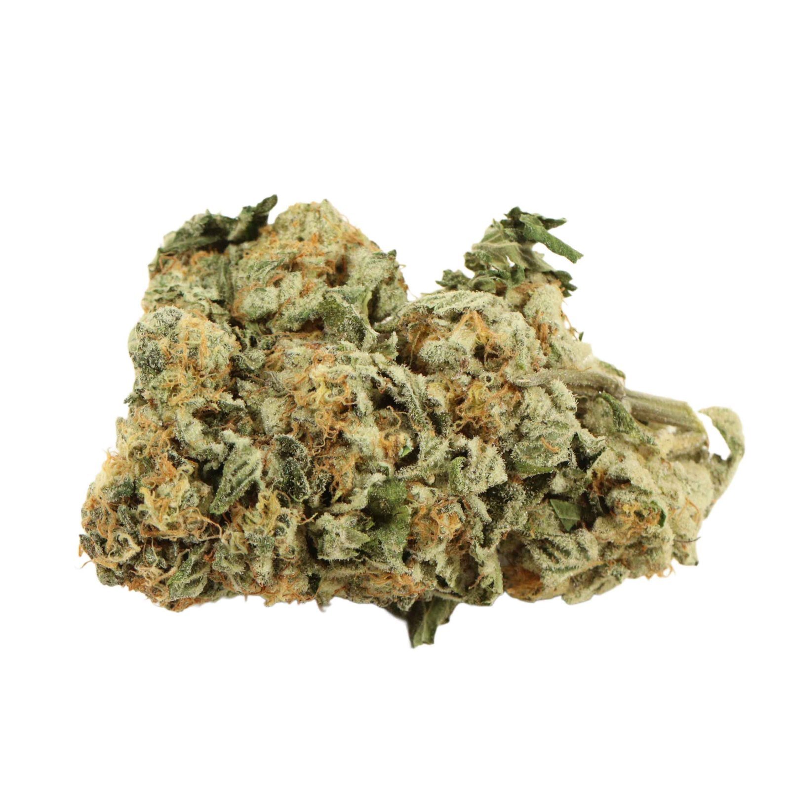 Master Kush Strain - Image 4