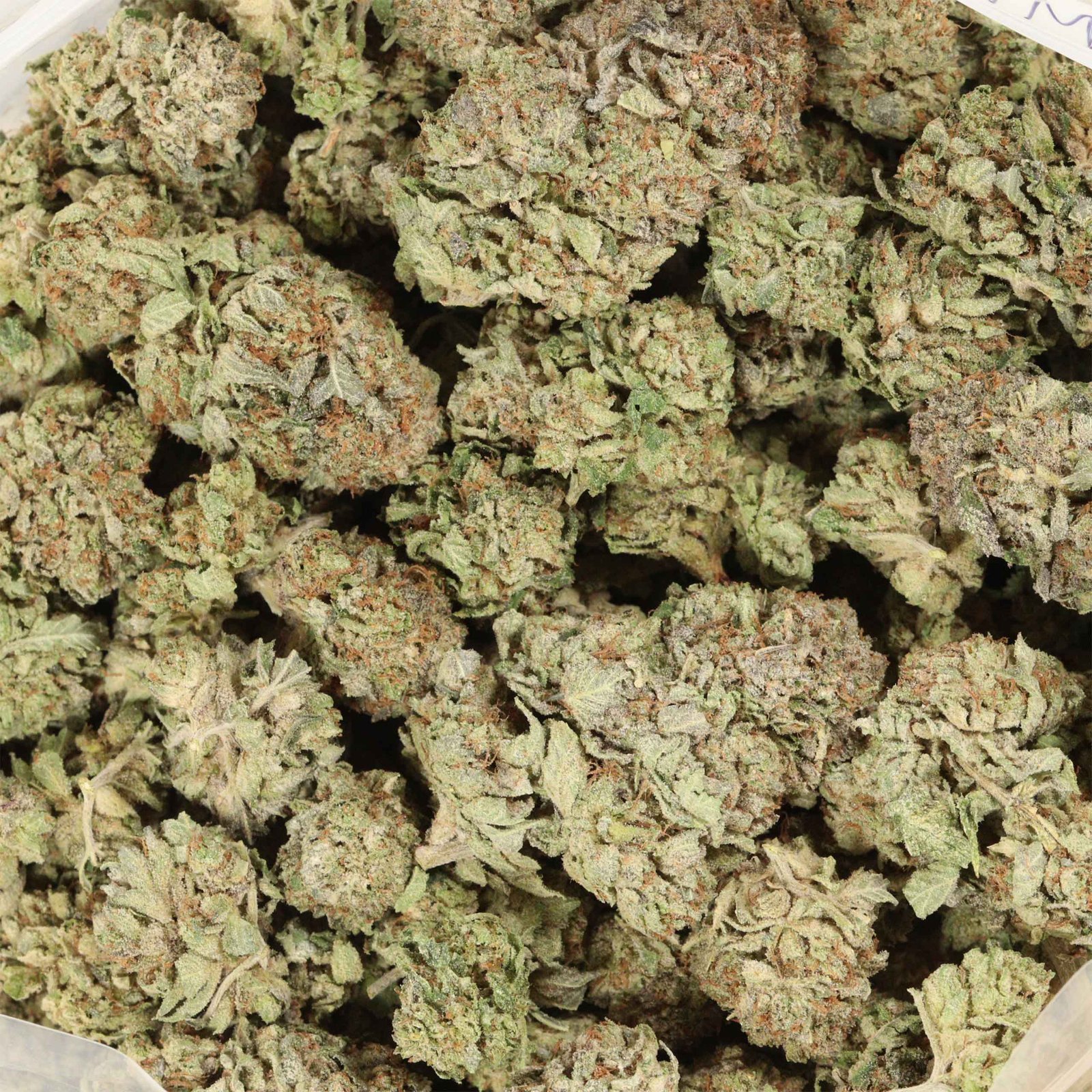 MK Ultra Strain - Image 3