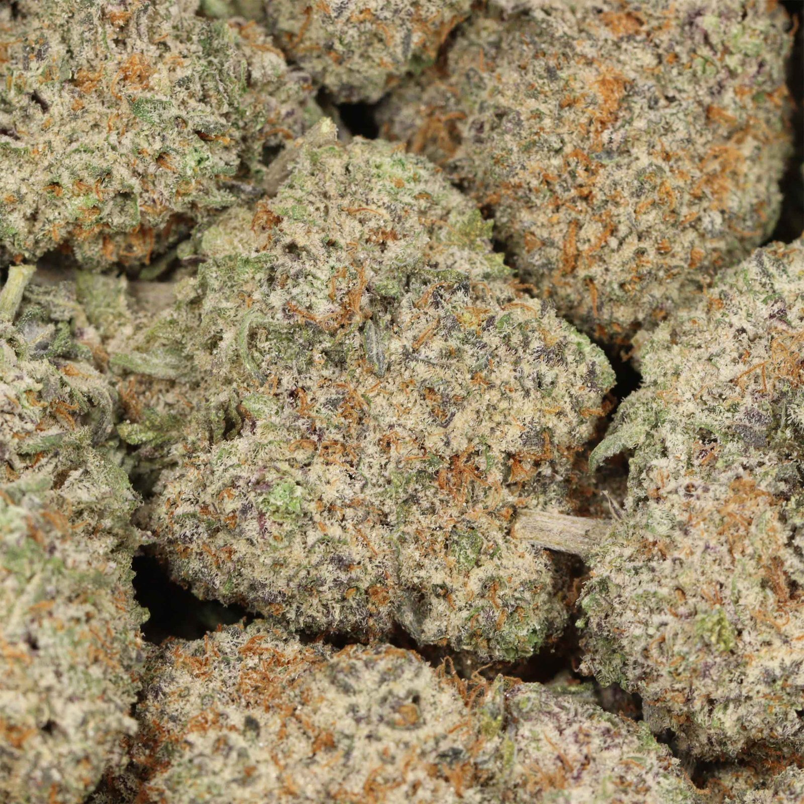 Purple Trainwreck Strain - Image 3