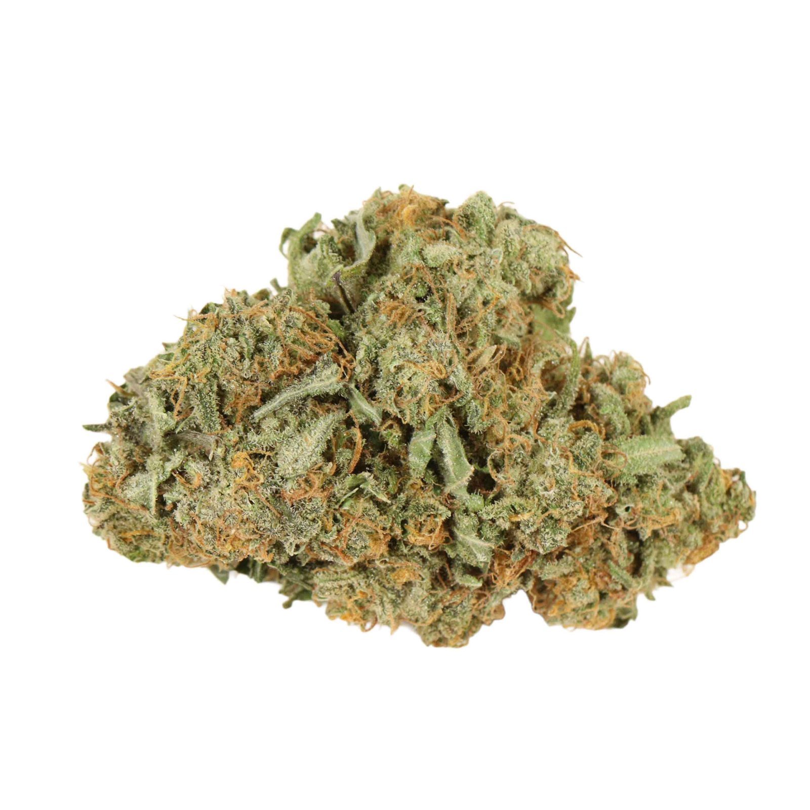 Romulan Strain - Image 3