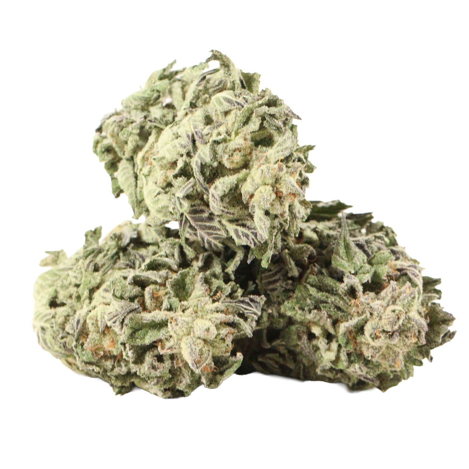 Tuna OG Strain